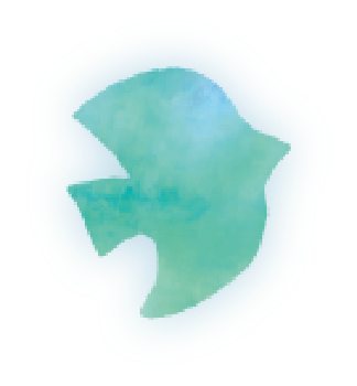 bird1