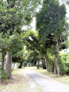 溝の口の「二子坂戸緑道」を散策してきました！【ミライワーク溝ノ口センター】