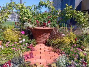 秋色の屋上庭園へ ミナモアウォーキング【ミライワーク広島駅南センター】