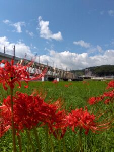 清掃委員会 ゴミ拾いウォーキング【ミライワーク横川センター】